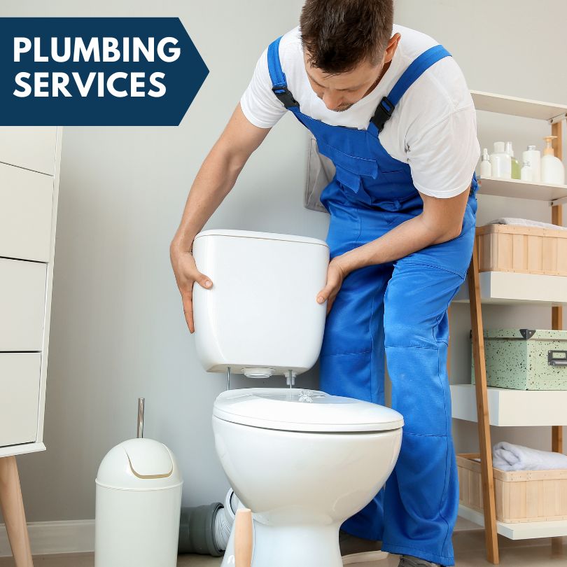 Plumbing Company in Loveville, MD